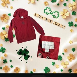 Calvin Klein Kids Burgundy Hooded Sweatshirt